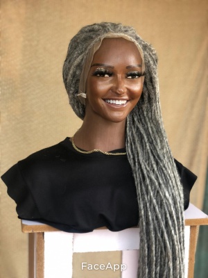 Salt and Pepper Synthetic Locs, Braiding Locs, and Wigs, Endless Style Options for Everyone, Beautiful Braided Wig with Different Colors